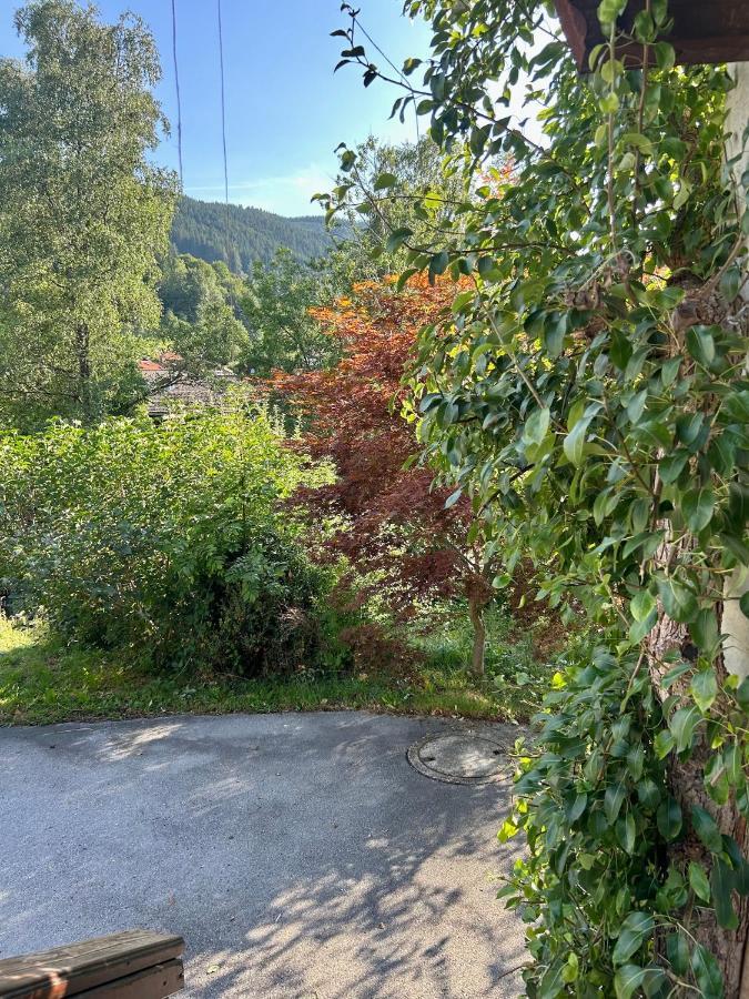 Apartment Huberspitz - Ruhe, Berge & Natur هاوشام المظهر الخارجي الصورة